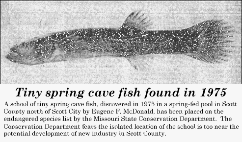 Spring Cavefish News Clipping